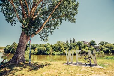 Lauffen am Neckar, Baden-Württemberg, Deutschland, Chris Frumolt Mai 2021, Frühling, Neckartal, Pause am Wasser, Park, Rastplatz
Wein-Fotospot Lauffen am Neckar
