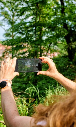 Altstadt in Weinheim, Baden-Württemberg, Deutschland | © (c)floriantrykowski.de
