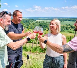 Burg Steinsberg in Sinsheim Weiler, Baden-Württemberg, Deutschland | © (c)floriantrykowski.de