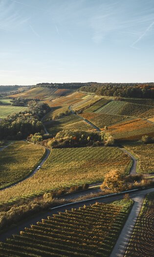 Weinlandschaft im Zabergäu - Naturpark Stromberg-Heuchelberg im HeilbronnerLand, Baden-Württemberg, Deutschland, Brackenheim
