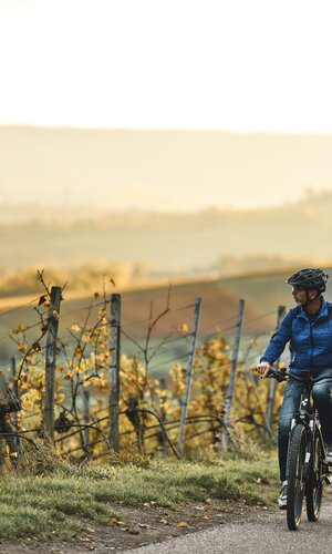 Radfahren im Herbst - Weinradwege HeilbronnerLand | Brackenheim, Naturpark Stromberg-Heuchelberg, Baden-Württemberg, Deutschland
