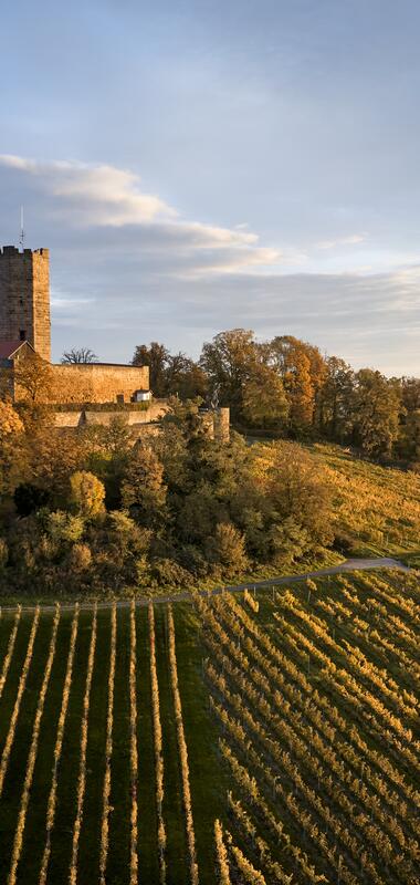 Steinsberg, Rhein-Neckar, Baden Württemberg, Deutschland