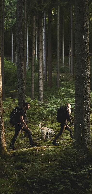 Burgruine Eberbach, Rhein-Neckar, Baden-Württemberg, Deutschland
