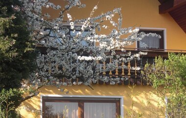 Am Stadtrand-Ferienwohnung in Sinsheim | © Scholl