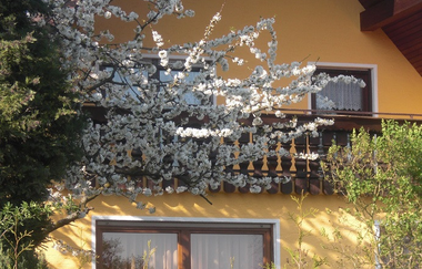 Am Stadtrand-Ferienwohnung in Sinsheim | © Scholl