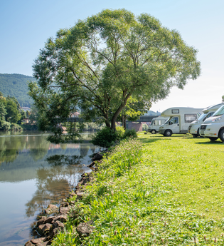 Auf der linken Bildseite fliesst ein Fluss. Auf dem Ufer rechts ist eine Wiese mit mehreren Wohmobilen. Im rechten hinteren Teil steht ein Baum.