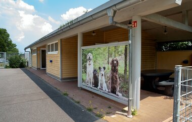 Campingplatz am St. Leoner See