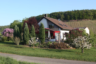 Außenansicht der Ferienwohnung, viele Bäume drum herum. | © Neckar-Zaber-Tourismus e.V.
