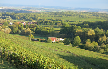 Landschaft | Ferienwohnung Heinzmann | Brackenheim | HeilbronnerLand | © Ferienwohnung Heinzmann