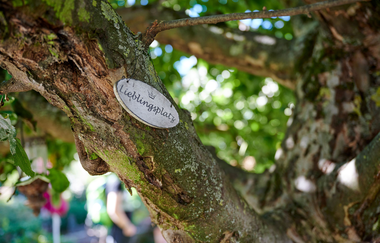 Lieblingsplatz-Schild auf dem Baum | © Neckar-Zaber-Tourismus e.V.
