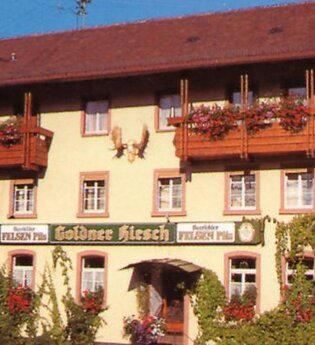 Gasthof Pension Goldener Hirsch
