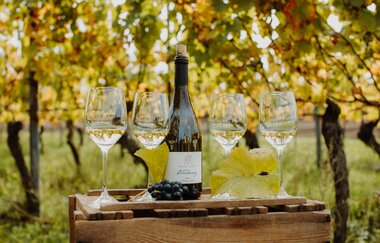 Vier leere Weingläser und eine Weinflasche auf einer Holzkiste mit Weinreben im Hintergrund. | © Weingut Becker, Malsch