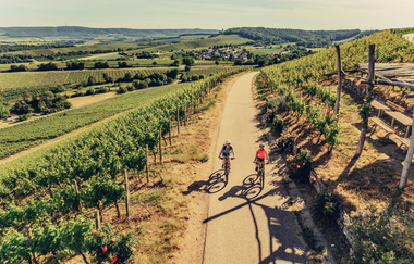 Radfahren am Zweifelberg | © Touristikgemeinschaft HeilbronnerLand e.v.