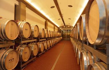 Führung der durch den Weinkeller der Weingärtner Stromberg-Zabergäu | Brackenheim | HeilbronnerLand | © Weingärtner Stromberg-Zabergäu eG