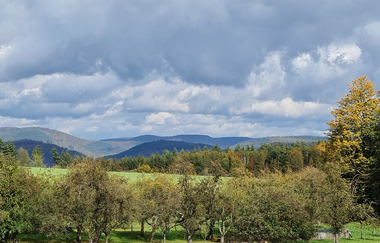 Bannwald - Neckarschleife - Evolutionspfad | © Quelle: Landratsamt Rhein-Neckar-Kreis