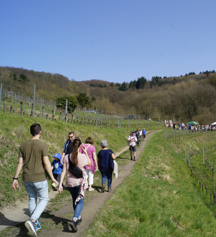 Blütenwegfest Bergstraße