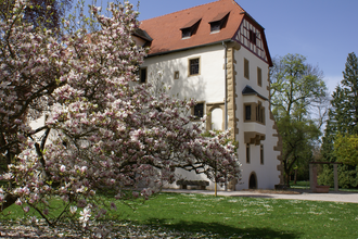 Burgentour rund um Sinsheim | © Landratsamt Rhein-Neckar-Kreis