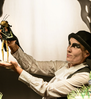 Künstler mit Hut und einer Grille auf seiner Hand. Diese hält eine Geige