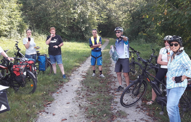 Der Schatz am Kallenbergsee