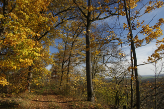 Erlebnisweg Hilsbacher Eichelberg | © Quelle: Landratsamt Rhein-Neckar-Kreis
