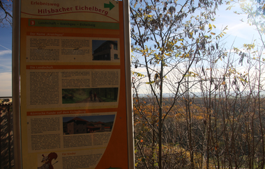 Erlebnisweg Hilsbacher Eichelberg | © Quelle: Landratsamt Rhein-Neckar-Kreis