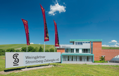 Frühling & Wein | Stromberg-Zabergäu