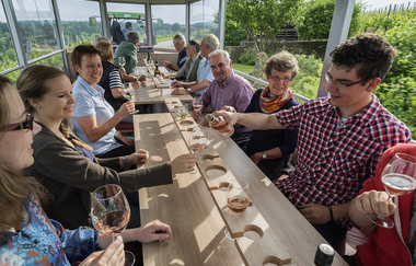 Theo | Planwagen- und Weinbergrundfahrten | Brackenheim | © Weingärtner Stromberg-Zabergäu