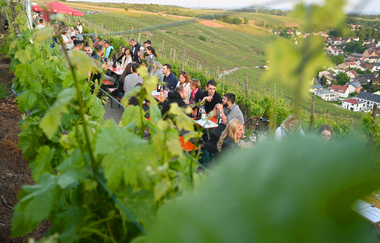 Käsbergfest Mundelsheim