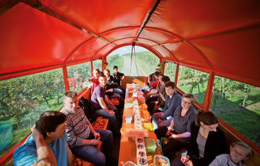 Katzenbeißer Carrus | Planwagen- und Weinbergrundfahrt | Lauffen am Neckar | © Katzenbeisser Carrus Planwagenfahrten GbR