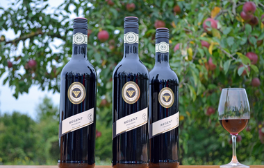 Weinwanderung mit Weinverkostung | Weingärtner Stromberg-Zabergäu | Brackenheim | HeilbronnerLand | © Weingärtner Stromberg-Zabergäu eG