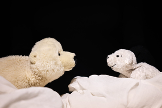 Papa Eisbär und Lars, der Eisbär schauen sich an