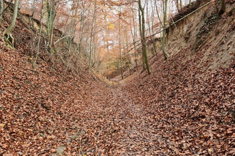 Kraichgau: Hohlwege und mehr