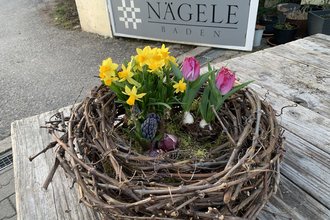 Kreativ im Weingut | © Frieder Nägele