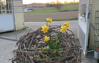 Kreativ im Weingut | © Frieder Nägele
