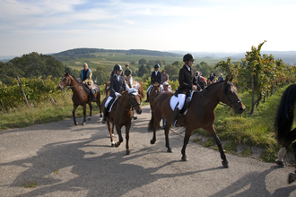 Reiter zu Pferde auf der Wallfahrt | © Landratsamt Rhein-Neckar-Kreis