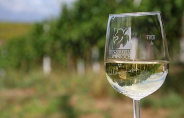 Radtour mit Weinprobe mit Andreas Ihle | © Quelle: Landratsamt Rhein-Neckar-Kreis