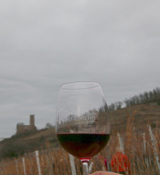 Ein mit Rotwein gefülltes Glas Rotwein im Vordegrund, im Hintergrund die Burgruine Strahlenburg | © Landratsamt Rhein-Neckar-Kreis