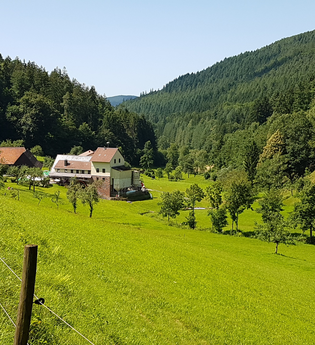 Rundtour ab Eberbach: Einmal um den Katzenbuckel ...