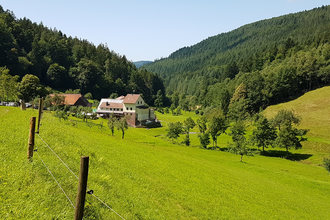 Rundtour ab Eberbach: Einmal um den Katzenbuckel ...