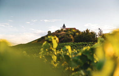 Michaelsberg Cleebronn |  HeilbronnerLand | © Touristikgemeinschaft HeilbronnerLand e.V.