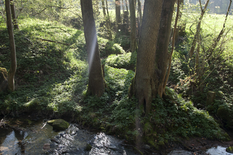 Schwarzbach von der Quelle bis zur Mündung | © Quelle: Landratsamt Rhein-Neckar-Kreis