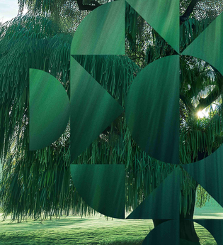 Schwetzinger SWR Festspiele: Olivenbaum | © Fork Unstable Media GmbH, München