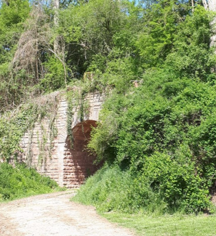 Vergessene Bahnstrecke Meckesheim - Wiesloch