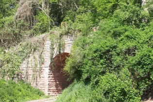 Vergessene Bahnstrecke Meckesheim - Wiesloch