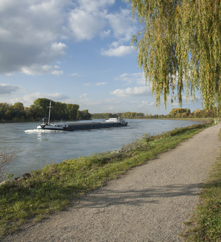 Von Posthörnern und Goldammern | © Landratsamt Rhein-Neckar-Kreis