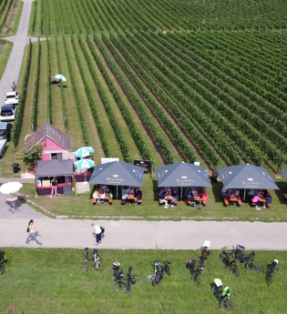 Weinausschank Bühl-Hütte | © Privatkellerei Rolf Willy GmbH