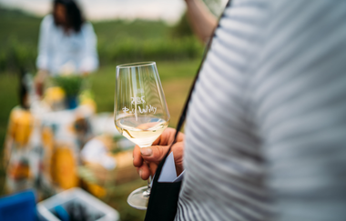 Planwagenfahrt Rolf Willy | © Rolf Willy GmbH