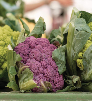 Wochenmarkt Eschelbronn | © TMBW