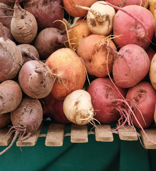 Wochenmarkt Neckarbischofsheim | © TMBW