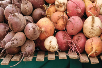 Wochenmarkt Neckarbischofsheim | © TMBW